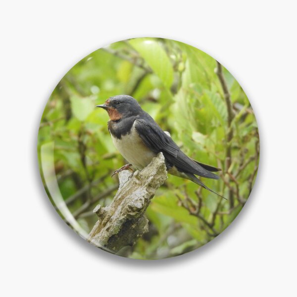 Item preview, Perching Barn Swallow designed and sold by TwistedClassics.