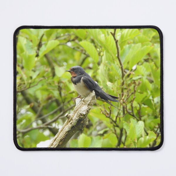 Item preview, Perching Barn Swallow designed and sold by TwistedClassics.