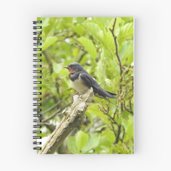 Item preview, Perching Barn Swallow designed and sold by TwistedClassics.