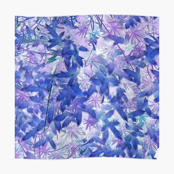 Blue Moss Poster