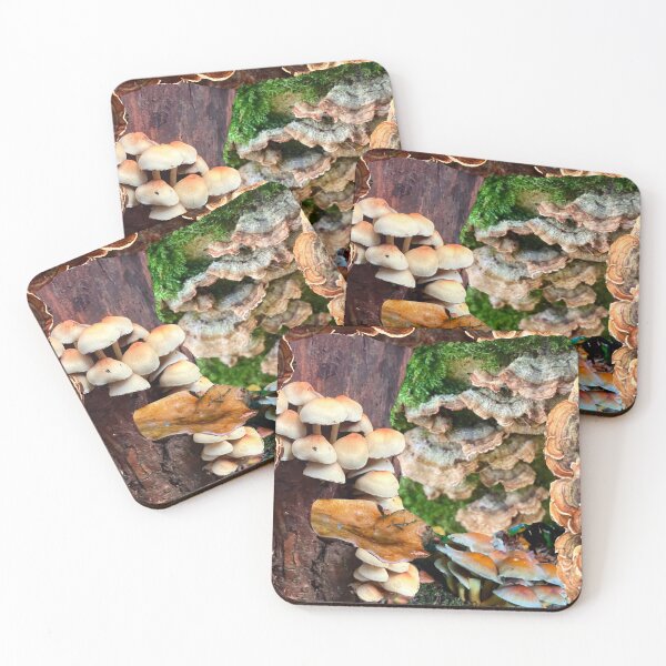 Item preview, Fungus Stain  designed and sold by Mouldy-Maggot.
