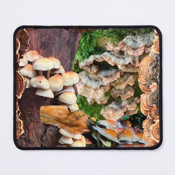 Item preview, Fungus Stain  designed and sold by Mouldy-Maggot.