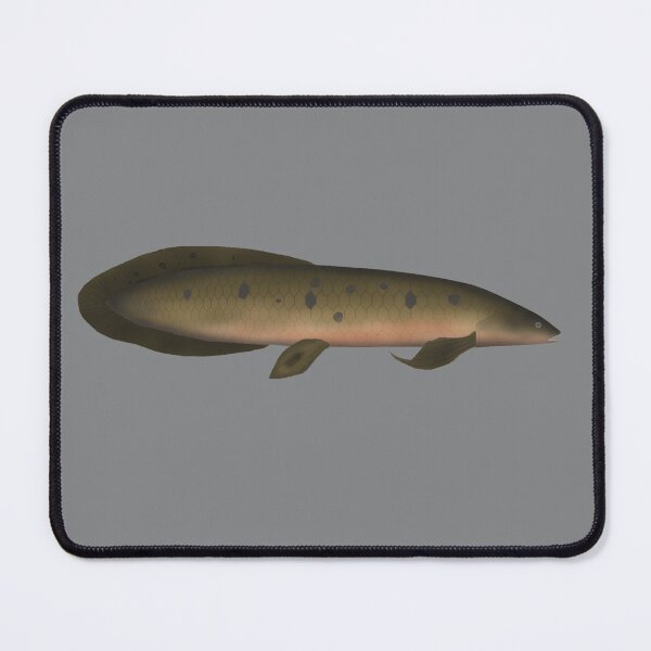 Item preview, Australian Lungfish designed and sold by fishfolkart.