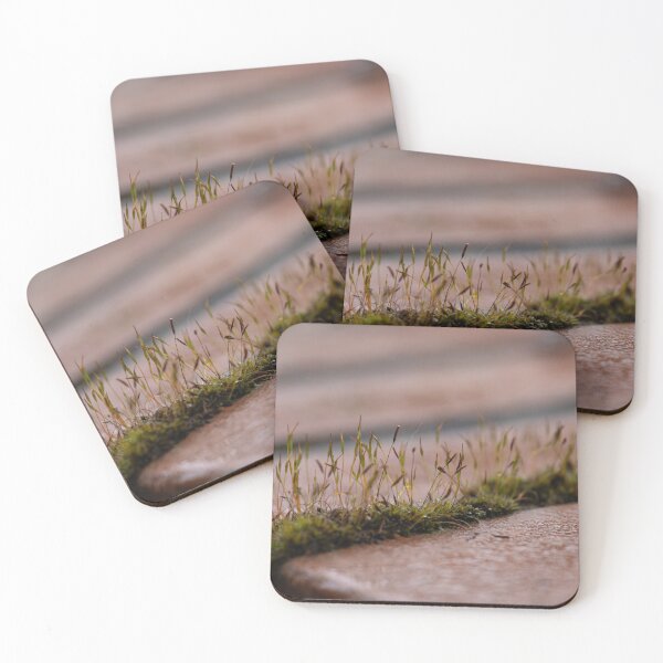Item preview, Moss designed and sold by Calidris Fotografie Steffi & Ben Köppler.
