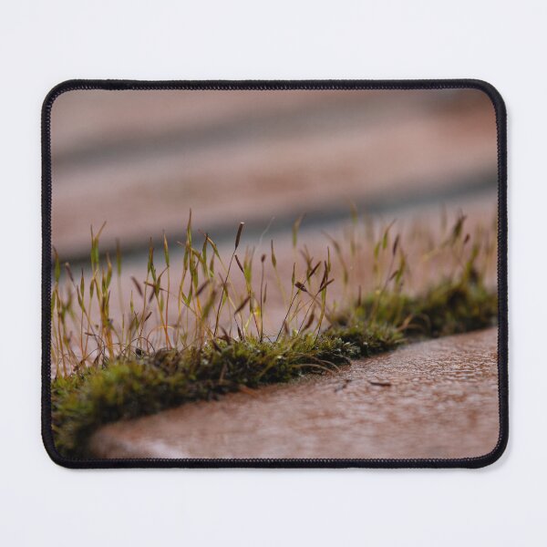 Item preview, Moss designed and sold by Calidris Fotografie Steffi & Ben Köppler.