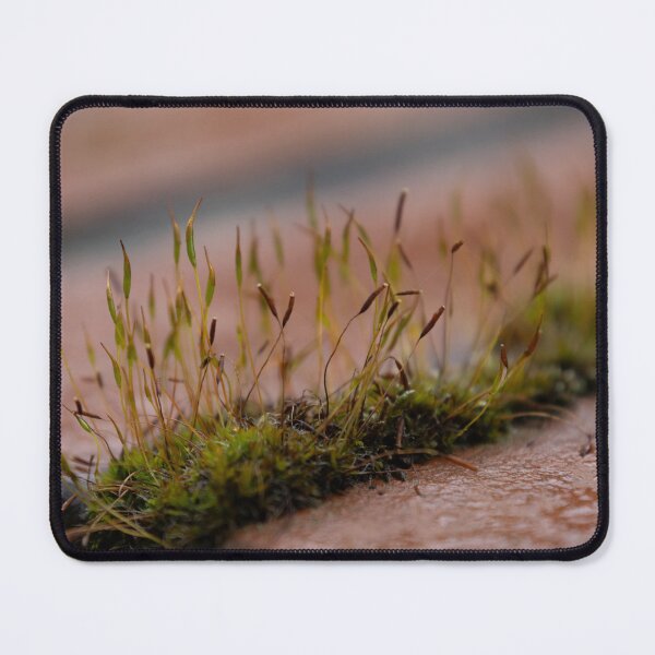 Item preview, Moss designed and sold by Calidris Fotografie Steffi & Ben Köppler.
