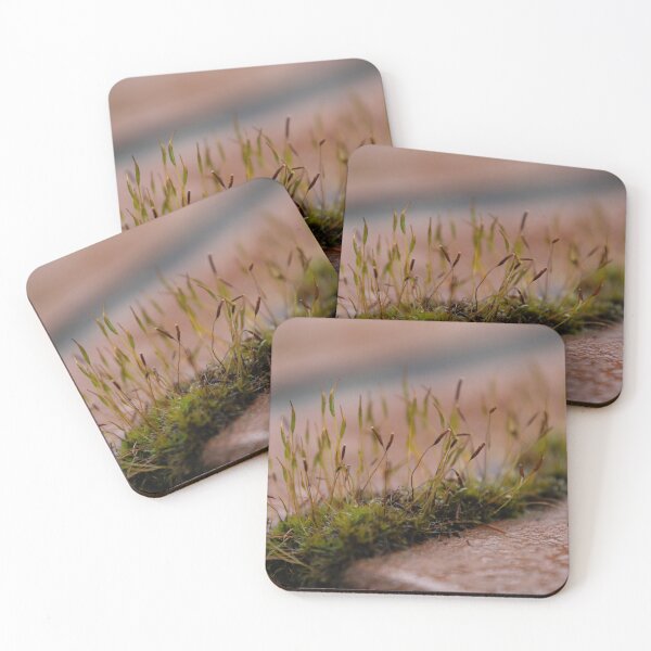 Item preview, Moss designed and sold by Calidris Fotografie Steffi & Ben Köppler.
