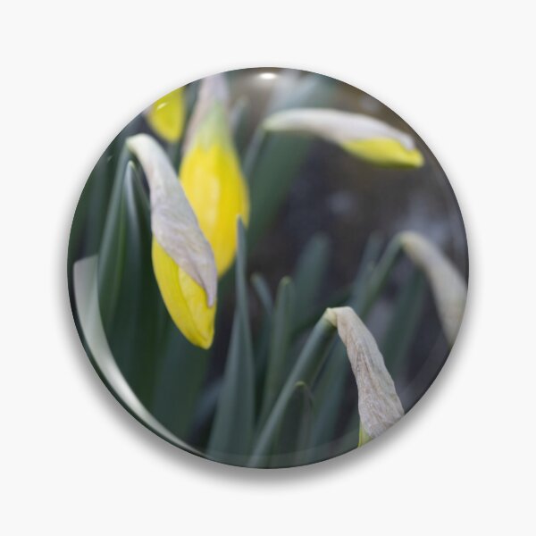 Item preview, Daffodils designed and sold by Calidris Fotografie Steffi & Ben Köppler.