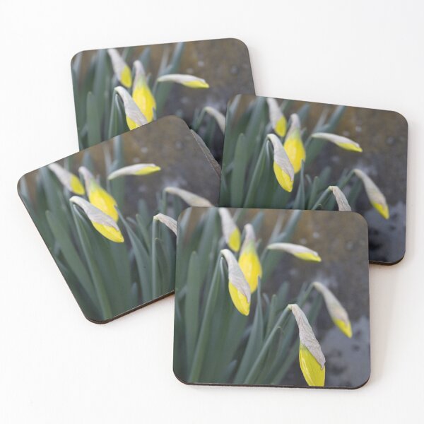 Item preview, Daffodils designed and sold by Calidris Fotografie Steffi & Ben Köppler.