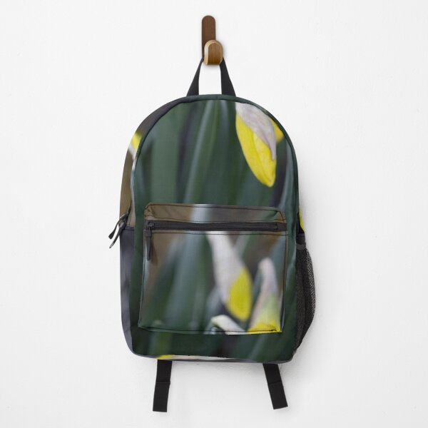 Item preview, Daffodils designed and sold by Calidris Fotografie Steffi & Ben Köppler.