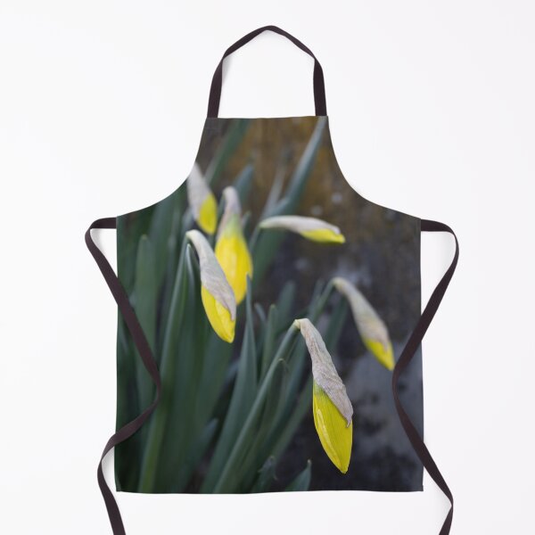 Item preview, Daffodils designed and sold by Calidris Fotografie Steffi & Ben Köppler.