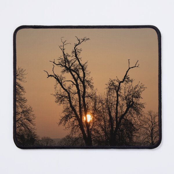 Item preview, Sunrise designed and sold by Calidris Fotografie Steffi & Ben Köppler.