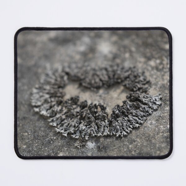 Item preview, Lichen designed and sold by Calidris Fotografie Steffi & Ben Köppler.