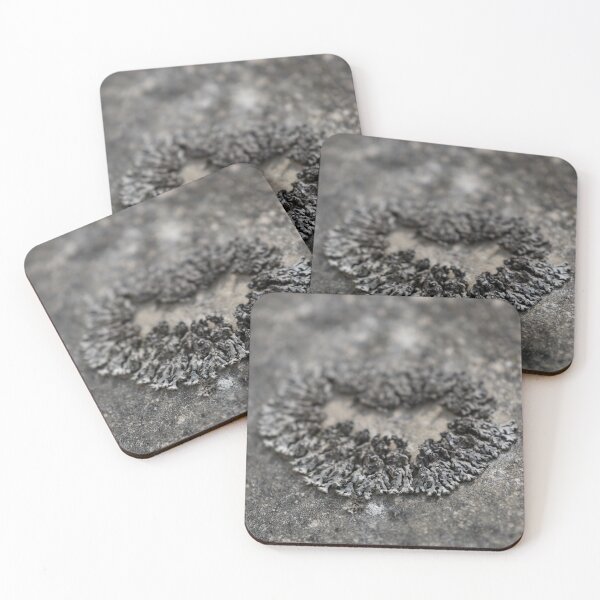 Item preview, Lichen designed and sold by Calidris Fotografie Steffi & Ben Köppler.