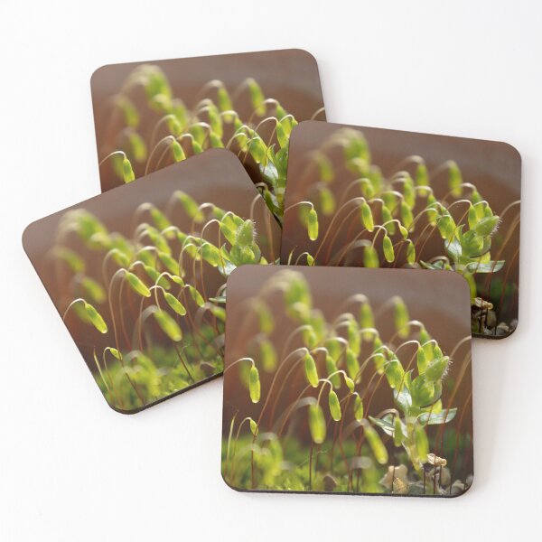Item preview, Moss designed and sold by Calidris Fotografie Steffi & Ben Köppler.