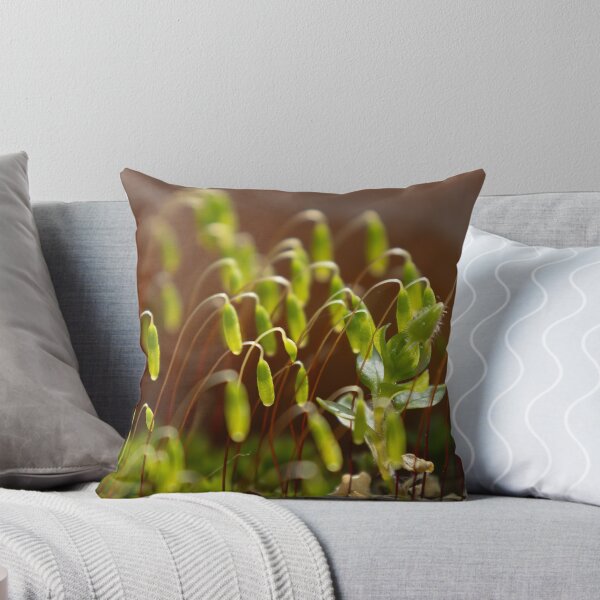 Item preview, Moss designed and sold by Calidris Fotografie Steffi & Ben Köppler.