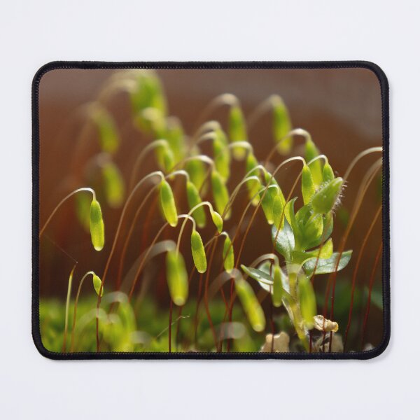 Item preview, Moss designed and sold by Calidris Fotografie Steffi & Ben Köppler.