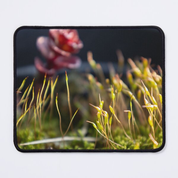 Item preview, Moss designed and sold by Calidris Fotografie Steffi & Ben Köppler.