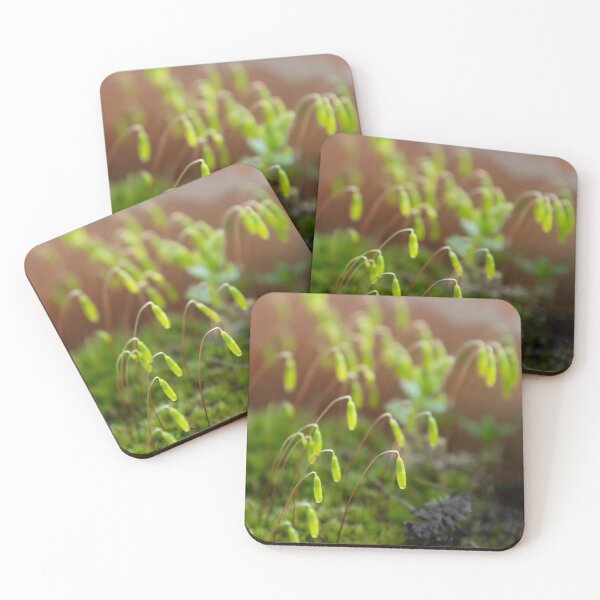 Item preview, Moss designed and sold by Calidris Fotografie Steffi & Ben Köppler.