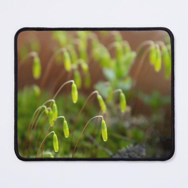 Item preview, Moss designed and sold by Calidris Fotografie Steffi & Ben Köppler.