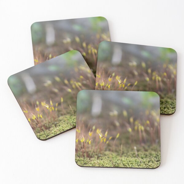Item preview, Moss designed and sold by Calidris Fotografie Steffi & Ben Köppler.