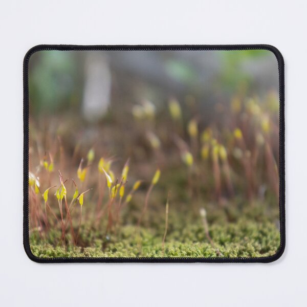 Item preview, Moss designed and sold by Calidris Fotografie Steffi & Ben Köppler.
