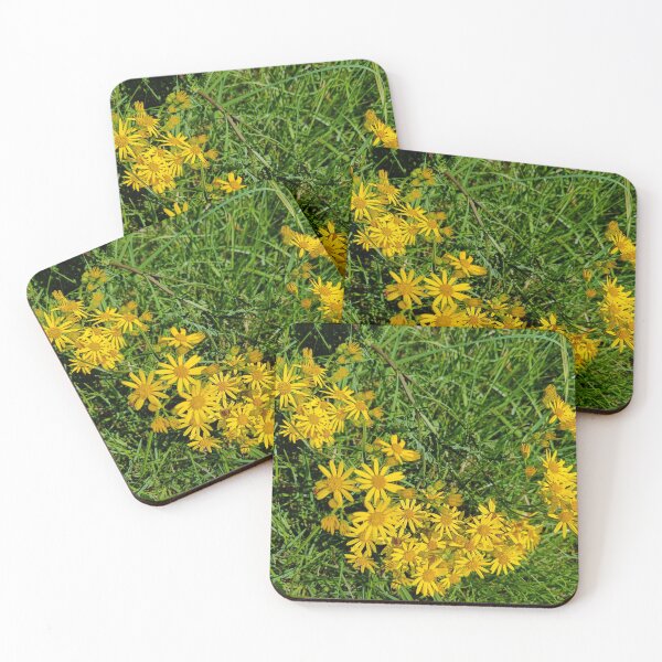 Item preview, Ragwort cluster designed and sold by Oubaitory.