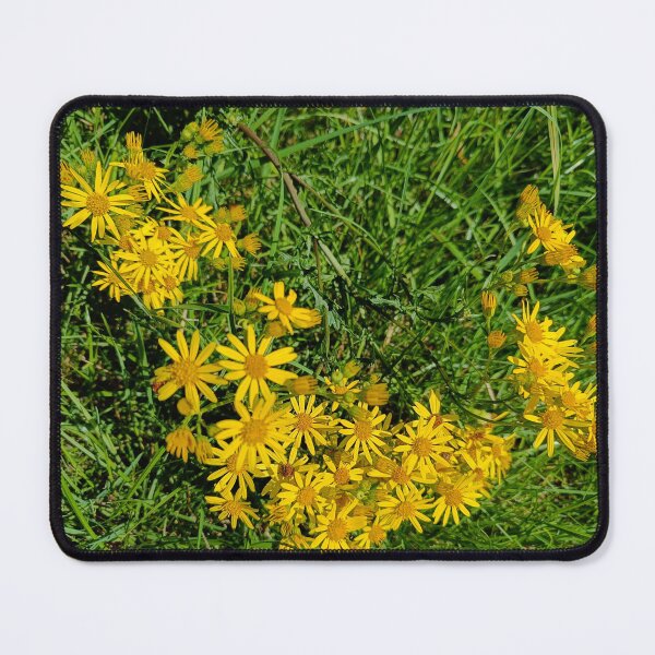 Item preview, Ragwort cluster designed and sold by Oubaitory.