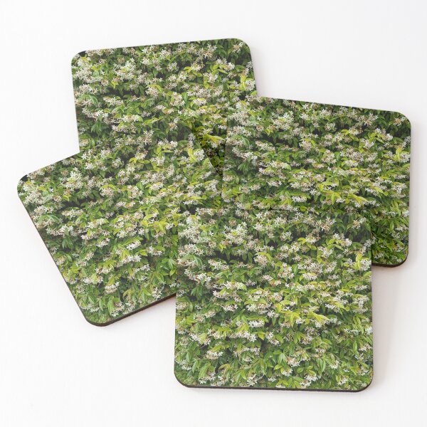 Item preview, Scented jasmine  designed and sold by Oubaitory.