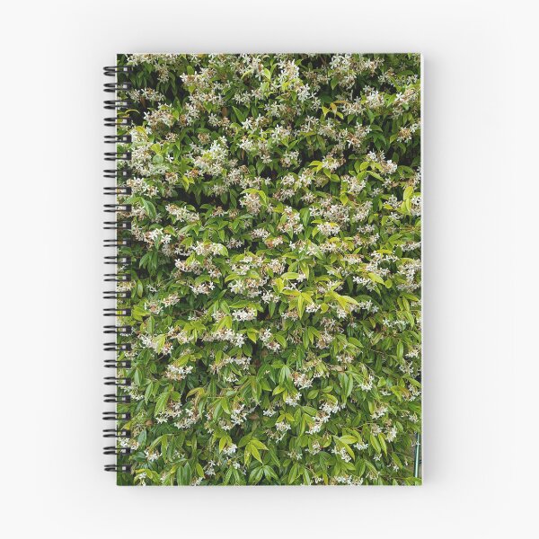 Item preview, Scented jasmine  designed and sold by Oubaitory.