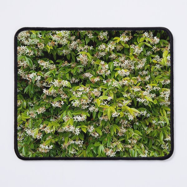 Item preview, Scented jasmine  designed and sold by Oubaitory.