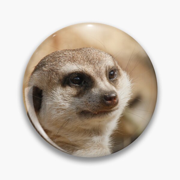 Artikelvorschau, Meerkat 052 entworfen und verkauft von JAMFoto.