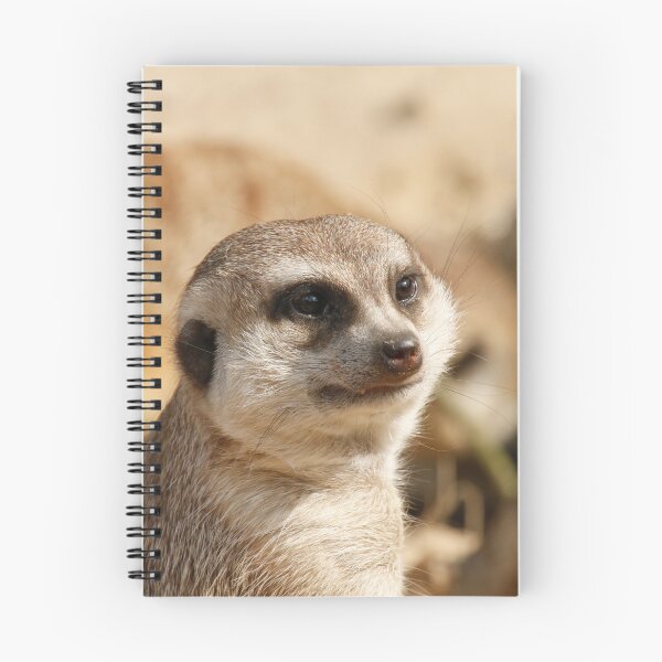 Item preview, Meerkat 052 designed and sold by JAMFoto.