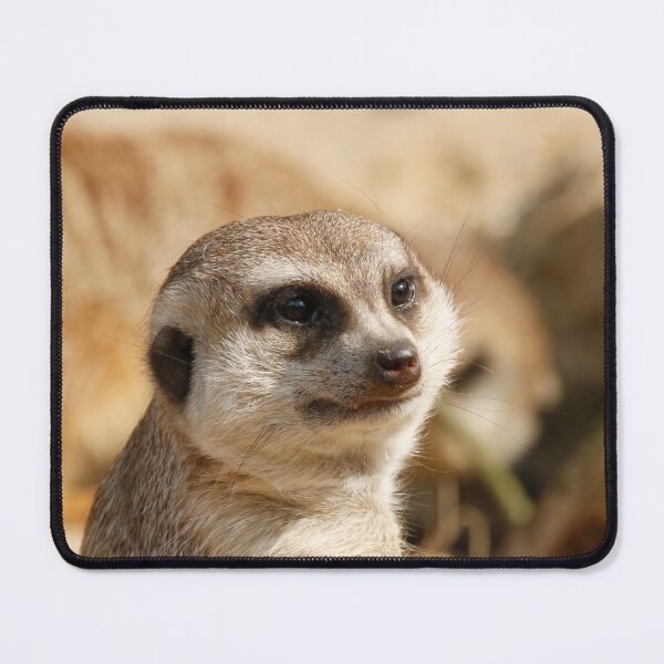 Item preview, Meerkat 052 designed and sold by JAMFoto.