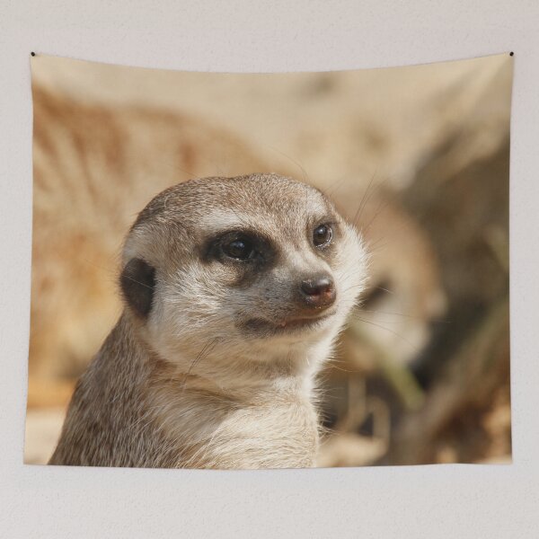 Item preview, Meerkat 052 designed and sold by JAMFoto.