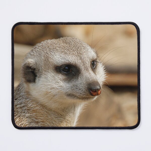 Item preview, Meerkat 059 designed and sold by JAMFoto.