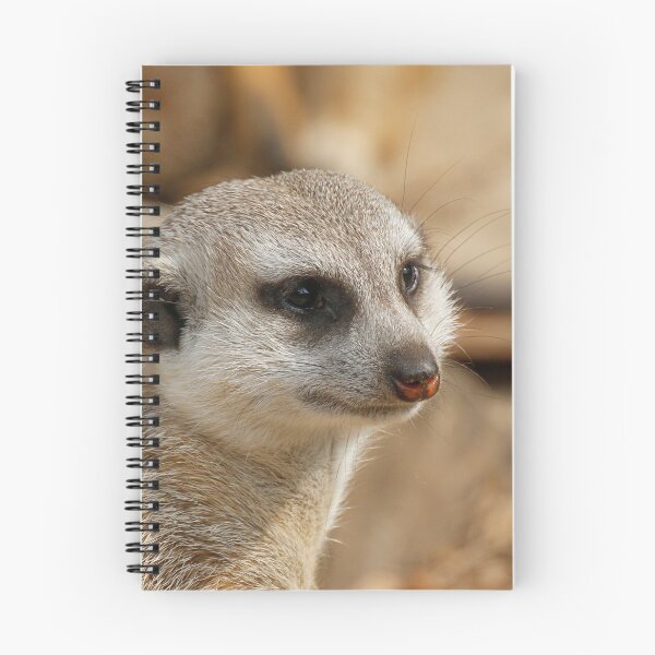 Item preview, Meerkat 059 designed and sold by JAMFoto.