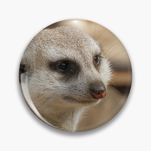 Artikelvorschau, Meerkat 059 entworfen und verkauft von JAMFoto.