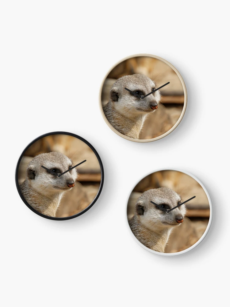 Thumbnail 3 of 4, Clock, Meerkat 059 designed and sold by JAMFoto.