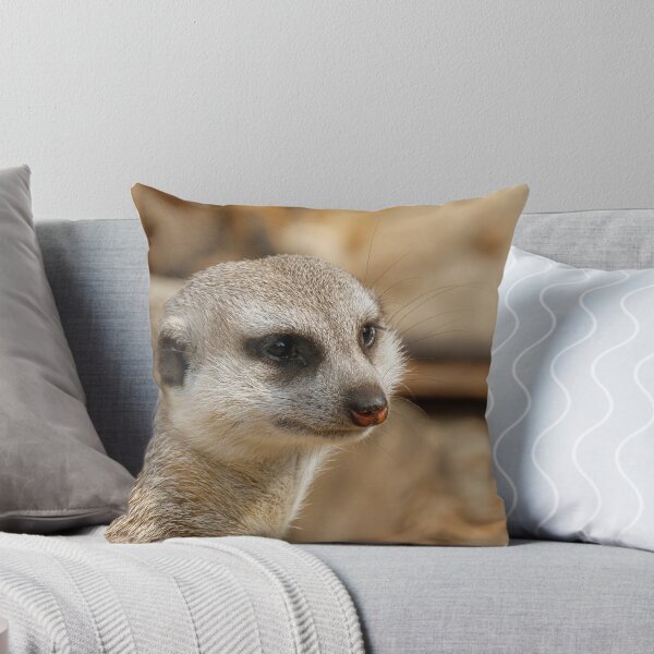 Item preview, Meerkat 059 designed and sold by JAMFoto.