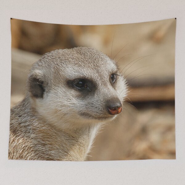 Item preview, Meerkat 059 designed and sold by JAMFoto.