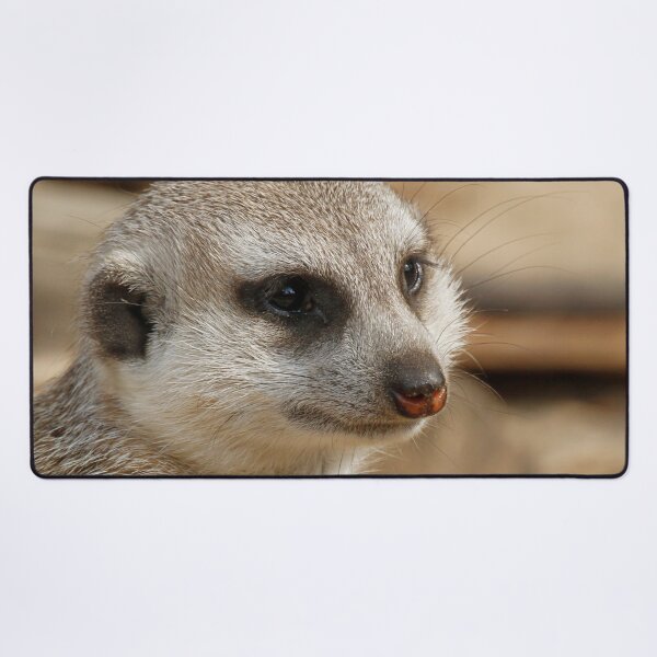Item preview, Meerkat 059 designed and sold by JAMFoto.