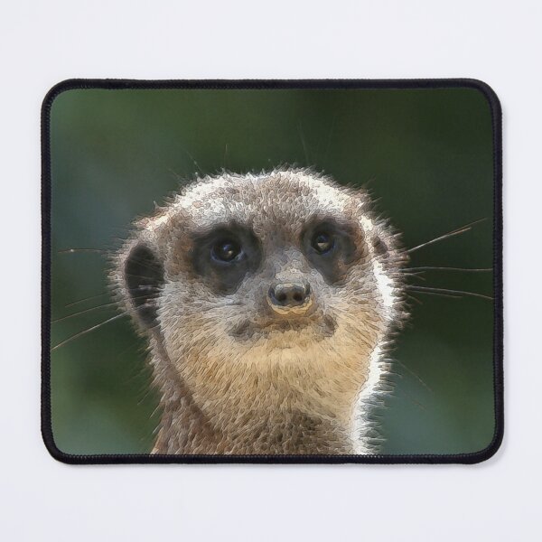 Item preview, Meerkat 068 designed and sold by JAMFoto.