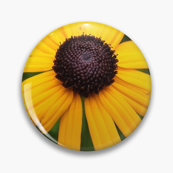 Item preview, Black Eye Susan designed and sold by SCTBUFFALOPHOTO.