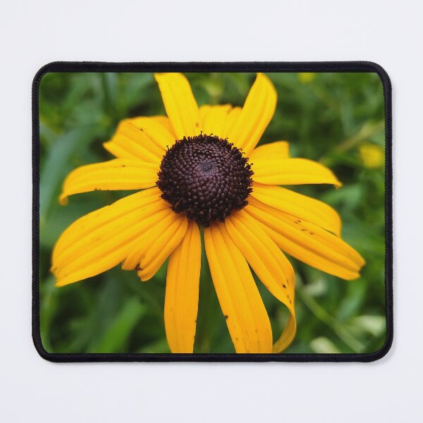 Item preview, Black Eye Susan designed and sold by SCTBUFFALOPHOTO.