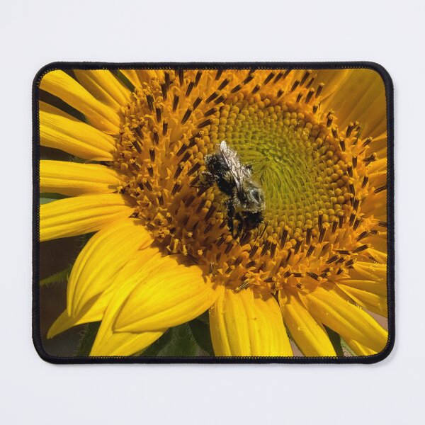 Item preview, Bee Beautiful designed and sold by hjacreations.