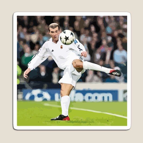 Item preview, Zidane's volley designed and sold by GOA7.