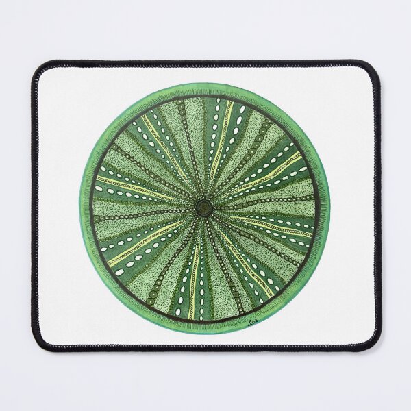Item preview, The Urchin designed and sold by elifkemahlioglu.