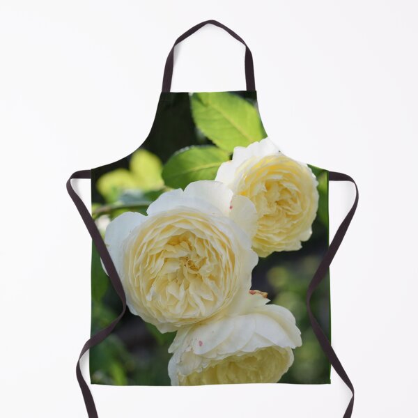 Item preview, Cream roses designed and sold by CatherineMoore4.