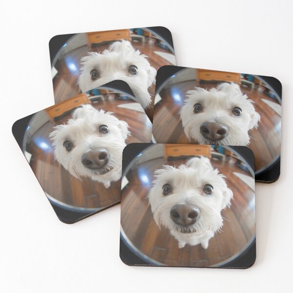 Item preview, Fisheye dog : let me in please designed and sold by Brendon987.